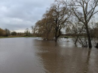 FDP trotz Hochwasserschäden gegen Aussetzen der Schuldenbremse