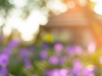 Traumhaus gesucht? Warum Flexibilität der Schlüssel zum bezahlbaren Wohnen ist 