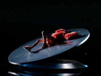 Nemo gewinnt den 68. Eurovision Song Contest!