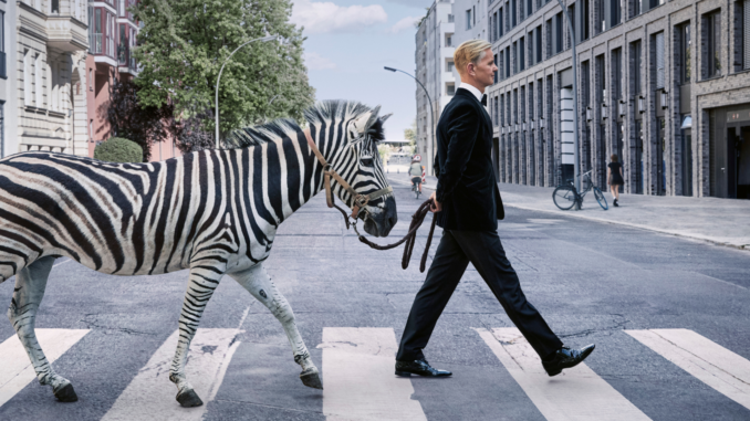 cmg_symbolbilder_ - 2024-09-09T141028.554 Max Raabe mit Zebra (über Cover)