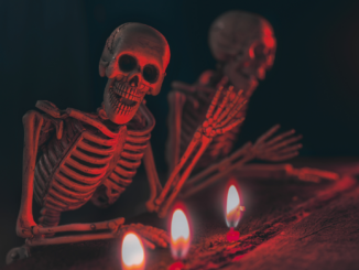 Haftpflichtfälle zu Halloween: Streiche, die eine Versicherung nicht abdeckt