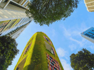 Kommentar: Grünes Rückgrat der Stadt – Warum urbane Gärten unverzichtbar sind