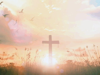 Nach dem Tod eingefroren werden? Was sich Deutsche wirklich für ihr Lebensende wünschen – und warum manche 100 Jahre warten wollen