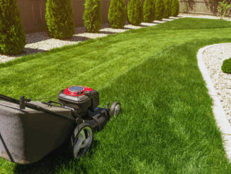 Gut gerüstet für den Winter: Warum die Herbstdüngung für den Rasen so wichtig ist