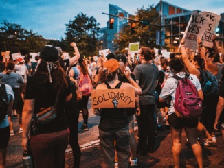 Veganer ticken politisch anders – Studie zeigt klares linkes Profil