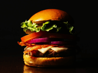 EU-Parlament verbietet Veggie-Burger: Wenn der Sojafladen zum „Pflanzenpressling“ wird