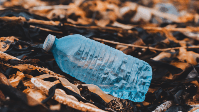 Müll (über Erik Mclean)