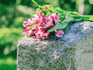 Bestattungsbranche wächst: Mehr Auszubildende, höhere Umsätze, steigende Nachfrage