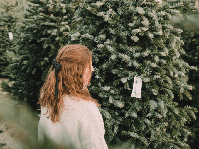 So kommt der Weihnachtsbaum sicher nach Hause