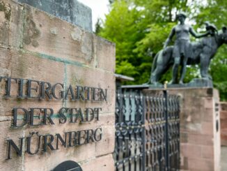Tiergarten Nürnberg erhöht Eintrittspreise ab Februar 2026 – Dauerkarten bleiben stabil