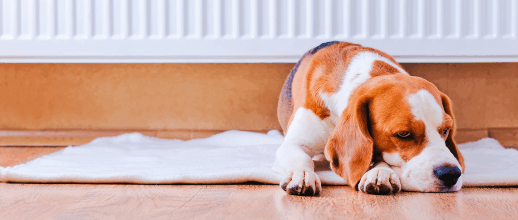 19 Grad im Wohnzimmer: Deutsche gönnen sich wieder mehr Wärme
