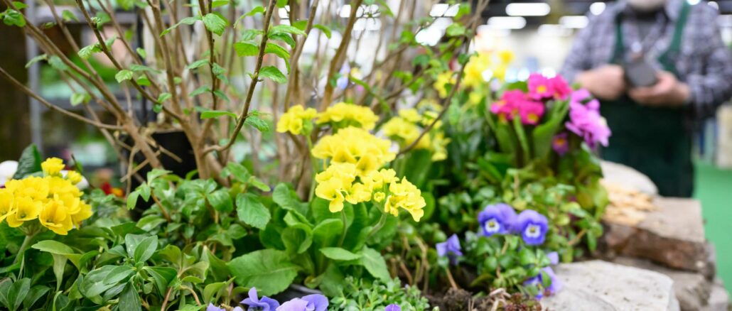 Freizeit-Start in Nürnberg: Camping, Reisen und frische Gartenideen