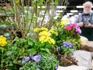 Freizeit-Start in Nürnberg: Camping, Reisen und frische Gartenideen