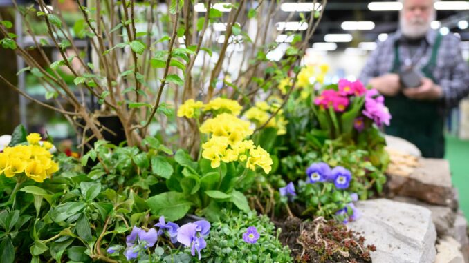 Freizeit-Start in Nürnberg: Camping, Reisen und frische Gartenideen