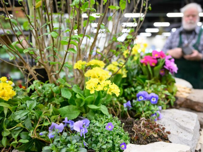 Freizeit-Start in Nürnberg: Camping, Reisen und frische Gartenideen