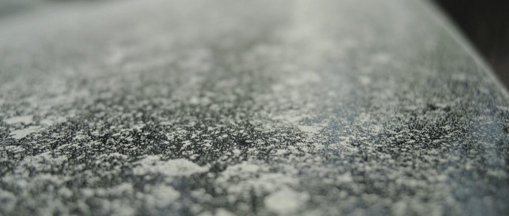 Pollensaison: Dein Auto ist voller Blütenstaub – und du merkst es kaum!