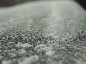 Pollensaison: Dein Auto ist voller Blütenstaub – und du merkst es kaum!