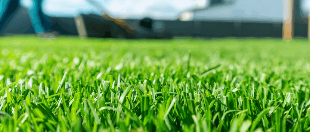 Rasen kaputt durch gute Absichten – diese Fehler macht fast jeder im Frühjahr!